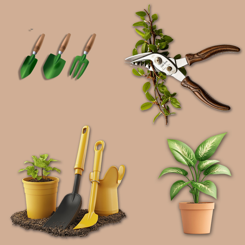 Luxury Landscaping and Garden Design